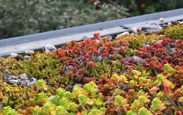 the cost of Gortonronach green roof installation