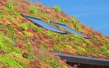 Gortonronach living roof systems